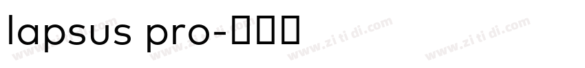 lapsus pro字体转换